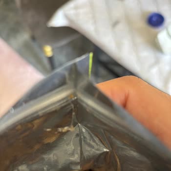 Migros’ta Aldığım Emsal Cevizde Böcek Ve Kurt Bulunması