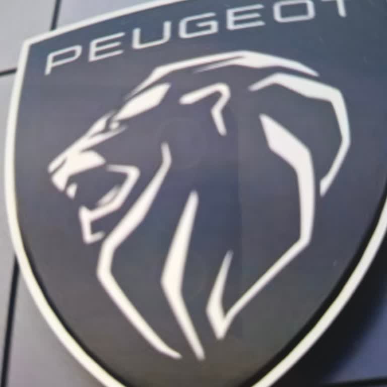 Ayıplı Peugeot Aracının Motor Arızası Nedeniyle Otoyolda Kaldık, Araç Değişimi Talebi