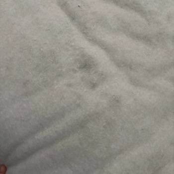 Küflü Bebek Yatağı Sağlığı Tehdit Ediyor Mağaza İadeyi Reddetti