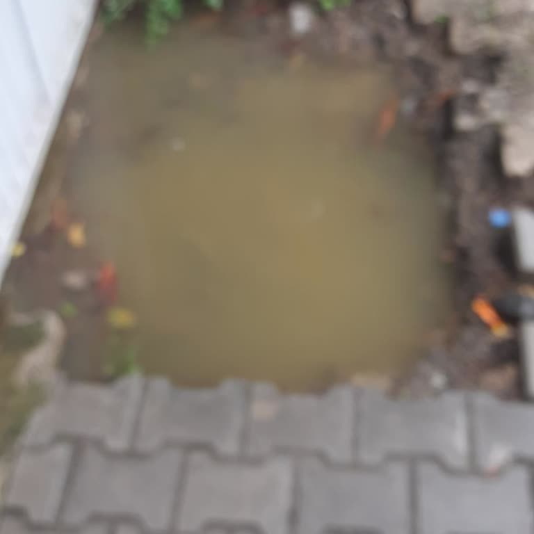 Rahime Mahallesi 9031 Sokakta Sürekli Kanalizasyon Taşkınları Ve Koku Sorunu