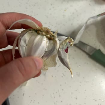 Küflü Sarımsak Satışı: Ücret İadesi Ve Kontrol İsteği