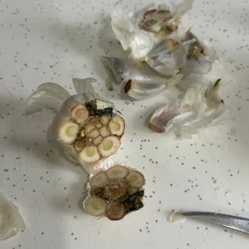 Küflü Sarımsak Satışı: Ücret İadesi Ve Kontrol İsteği