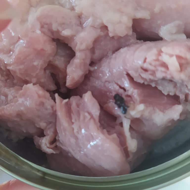 Tandır Hindi Konservenin Üstünde Sinek Görülmesi Ve İade Talebi