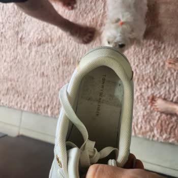 Kullanılmış Sneaker İçin Stok Yok Değişim Ve Geciken İade