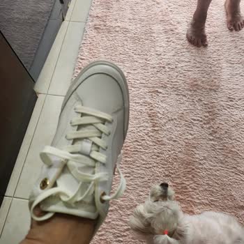 Kullanılmış Sneaker İçin Stok Yok Değişim Ve Geciken İade