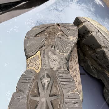 Skechers Ayakkabısının Tabanı 6 Ay İçinde Çürüdü, Kalite Sorunu Ve Çözüm Talebi