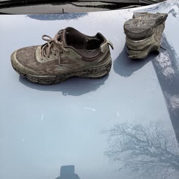 Skechers Ayakkabısının Tabanı 6 Ay İçinde Çürüdü, Kalite Sorunu Ve Çözüm Talebi