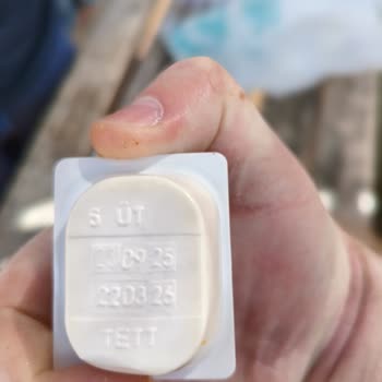 Sarımsaklı Mayonez Son Tüketim Tarihi Geçmiş, Gıda Güvenliği Endişesi