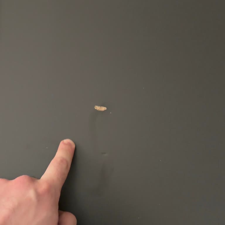 Ezik Masa Değişiminde Uzun Bekleme Süreci Mağdur Ediyor