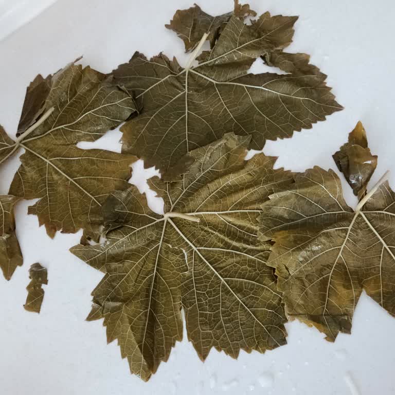 Yanıltıcı Reklam, Kalitesiz Yapraklar Ve İade Taleplerine Cevap Yok