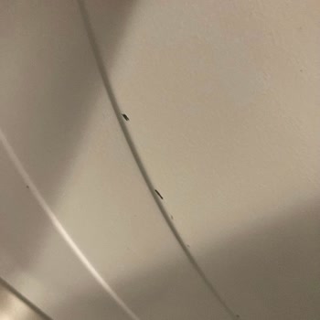 Sürekli Servis Müdahalesi Sonrası Boya Hasarı Tekrarlıyor, Yeni Kurutma Makinesi İstiyorum