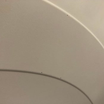 Sürekli Servis Müdahalesi Sonrası Boya Hasarı Tekrarlıyor, Yeni Kurutma Makinesi İstiyorum