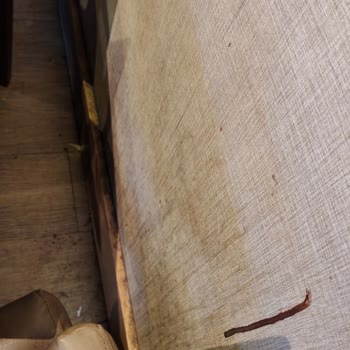 Hijyen Eksikliği Ve Yanık Kahve Şikayetim