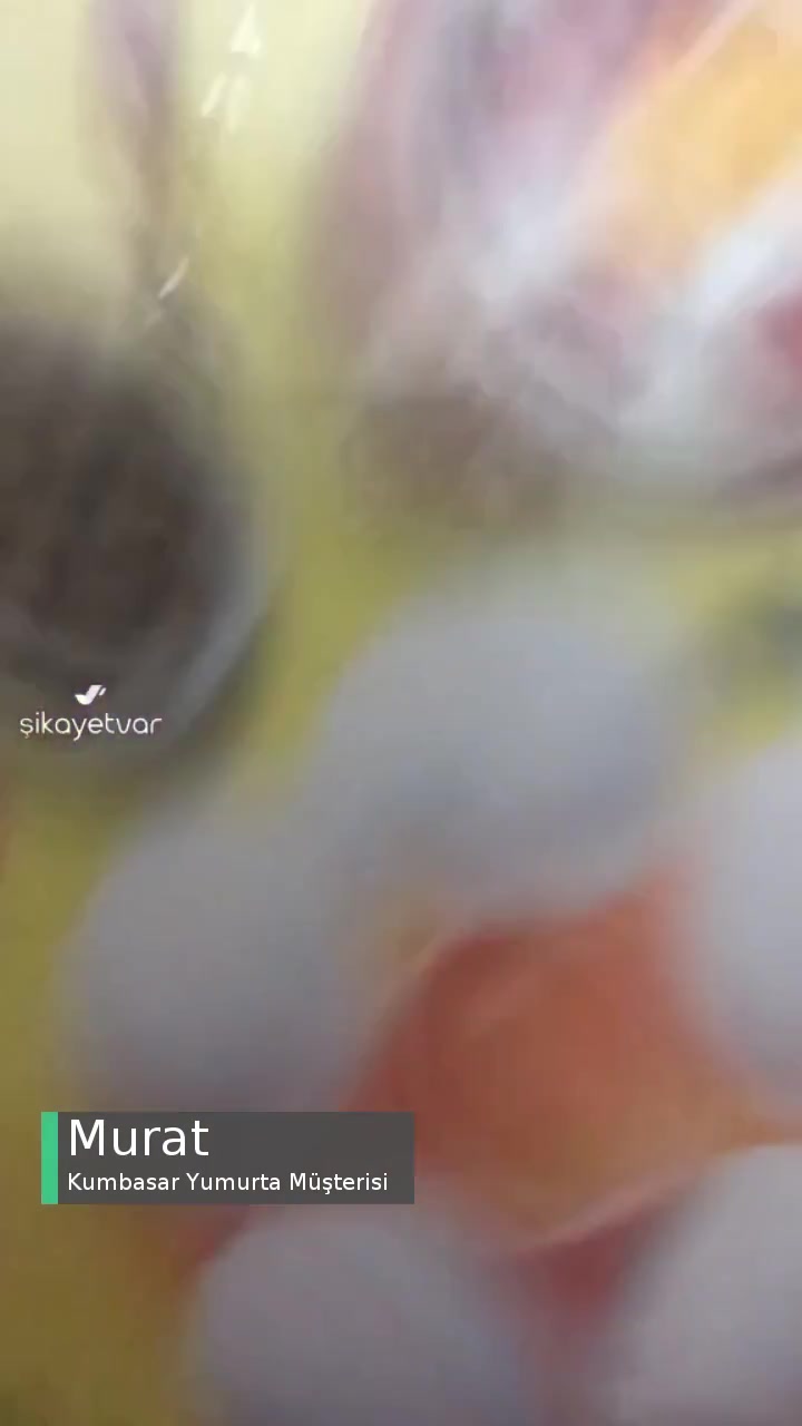 Kumbasar Bozuk Yumurtalar videonun kapak resmi