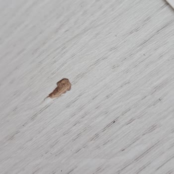 Yeni Döşenen Yıldız Entegre Parkelerde Tırnak Şişmesi Ve Değişim Talebi