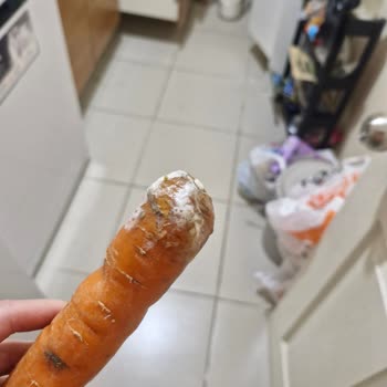 Çürük Havuç Ve Bozuk Kola Ambalajı Nedeniyle Migros Hemen Siparişimde Memnuniyetsizlik