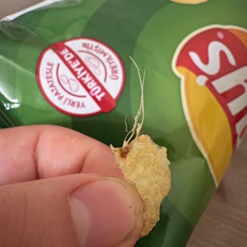 Lays Cipsinde Yabancı Madde Çıktı: Gıda Güvenliği Endişesi