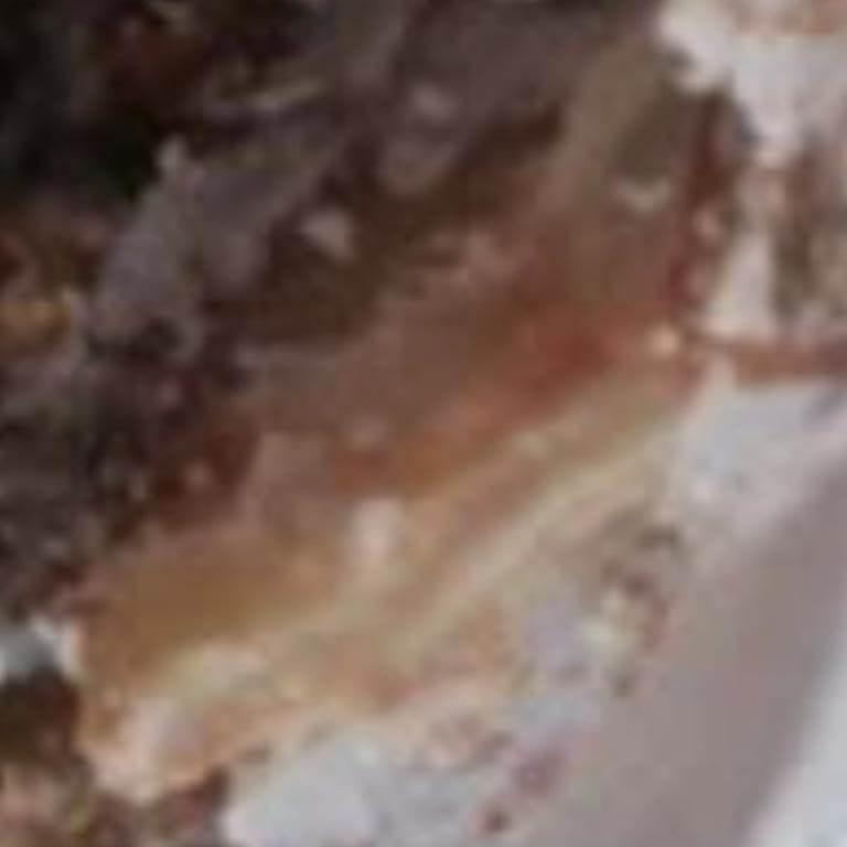 Torku Dana Et Kavurmasında Sert Kıkırdak Bulundu Çiğnemek İmkansız