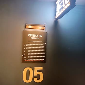 Yönlendirme Ve Bilet Kontrolü Yokluğundan Doğan Salon Karışıklığı Ve Film Kaçırma Sorunu