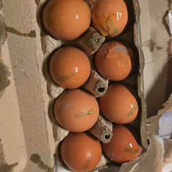 Kırık Yumurta Ve Yanlış Paketleme Değişim Talebine Yanıt Gelmedi