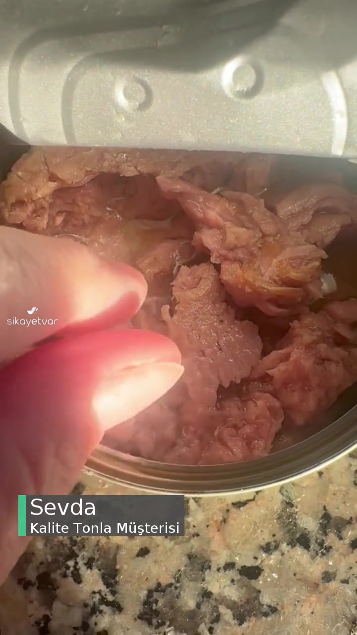 Kalite Tonla Tonbalığı Ölümcül Tehlike! videonun kapak resmi