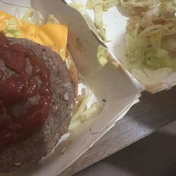 Alerjili Müşteriye Marul Ve Böcekli Hamburger, Milkshake Yok, İade Reddedildi