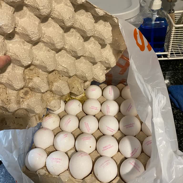 Hızlı Teslimat Ücreti İadesiz, Kırık Yumurta Ve Yardımsız Müşteri Hizmeti