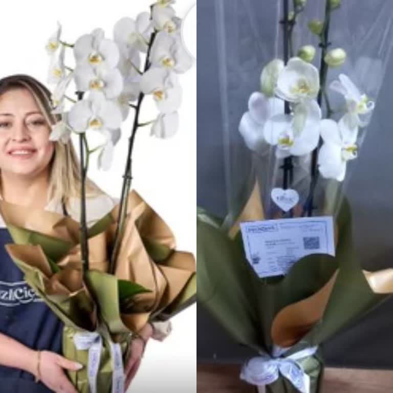 Görseliyle Uyuşmayan Orkide Ve İade Reddi