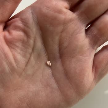 Domino’s Şubesinde Pizza’da Kemik Benzeri Yabancı Madde Keşfedildi, Gıda Güvenliği İhlali