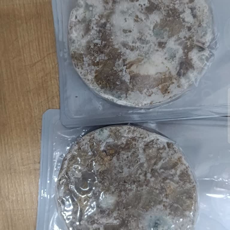 Küflü Dana Kavurması Ürününde Sağlık Ve Hijyen Sorunu