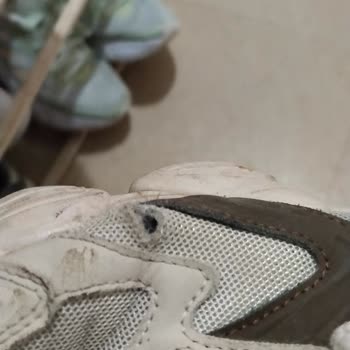 Ayakkabının Tabanı Ayrıldı, Filelerde Yırtılma Ve Mağazadan Cevap Bekleniyor