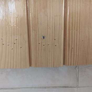 Uğur Çatı Ustası Daha İlk Yağmurda Çatı Su Aldı