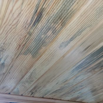 Uğur Çatı Ustası Daha İlk Yağmurda Çatı Su Aldı