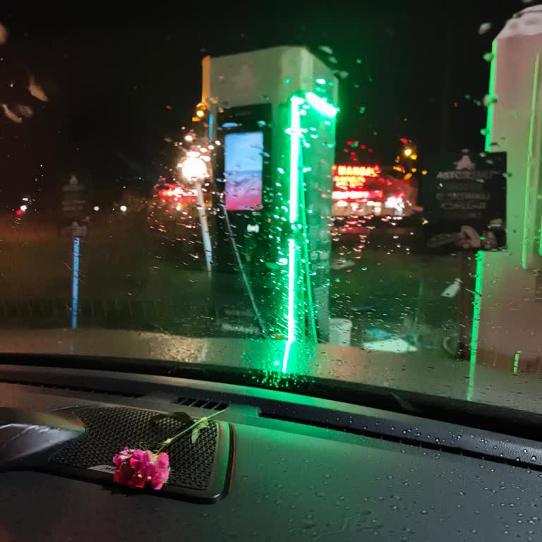 Dinlenme Tesisinde Şarj İstasyonları Çoğu Bozuk, Zaman Kaybettik