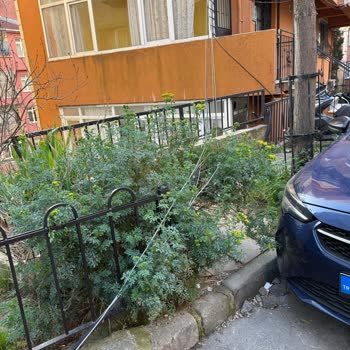 Satış Sonrası Kablo Kesilmesi Ve İnternet Kesintileriyle Hayal Kırıklığı