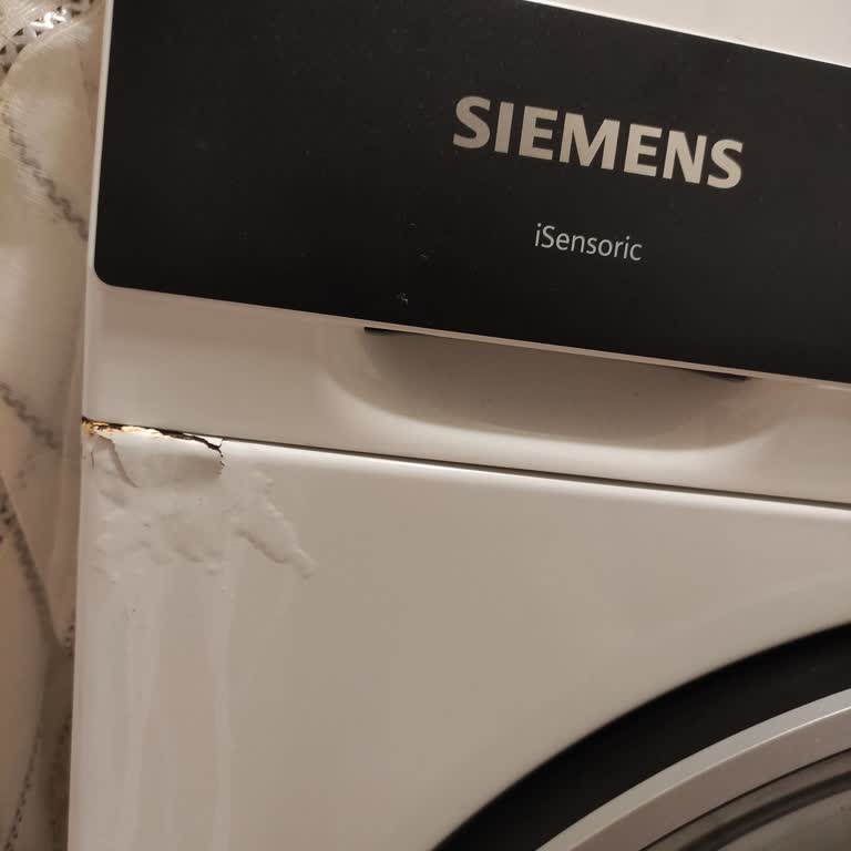Garanti Kapsamındaki Siemens Çamaşır Makinesinde Boya Dökülmesi Ve Pas