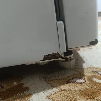 Hotpoint Ariston Buzdolabında Boya Atması Ve Ürünlerin Donması