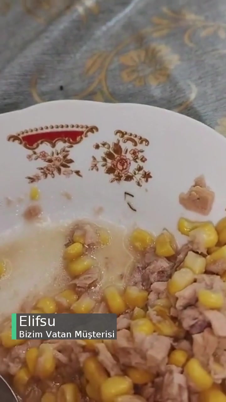 Bizim Vatan Düzgünce Temizlenmemiş videonun kapak resmi