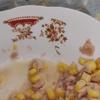 Bizim Vatan Düzgünce Temizlenmemiş
