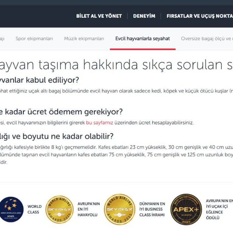 Uçuşum Kedimle Taşıma Kutusunun Uygunsuzluğu Nedeniyle Reddedildi Ve Yardımsız Bırakıldı