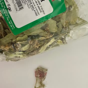 Zümrüt Kış Çayında Çöp Kağıdı Bulundu