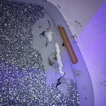 Xenon Smart X8624 Kedi Tuvaletinde 15 Gün İçinde Lastik Yırtılması Ve Garanti Talebi