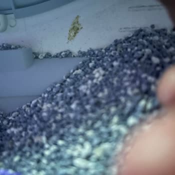 Xenon Smart X8624 Kedi Tuvaletinde 15 Gün İçinde Lastik Yırtılması Ve Garanti Talebi