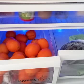 Beko No Frost Buzdolabının Sürekli Soğutma Arızası Ve Çözülmeyen Servis Sorunu