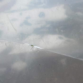 Demre Plastik Naylonun Katlama Çizgilerinin Olduğu Yerlerden Kendiliğinden Açılmalar Başladı