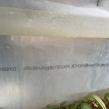 Demre Plastik Naylonun Katlama Çizgilerinin Olduğu Yerlerden Kendiliğinden Açılmalar Başladı