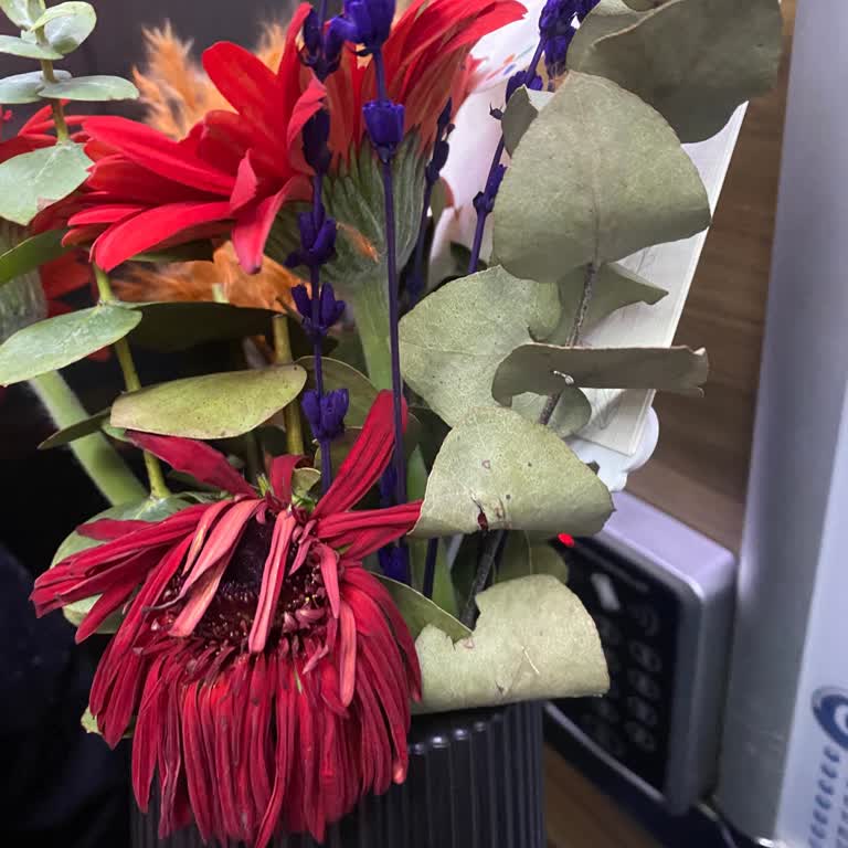 Çiçek Sepeti'nden Solmuş Çiçek Ve Habersiz Teslimat