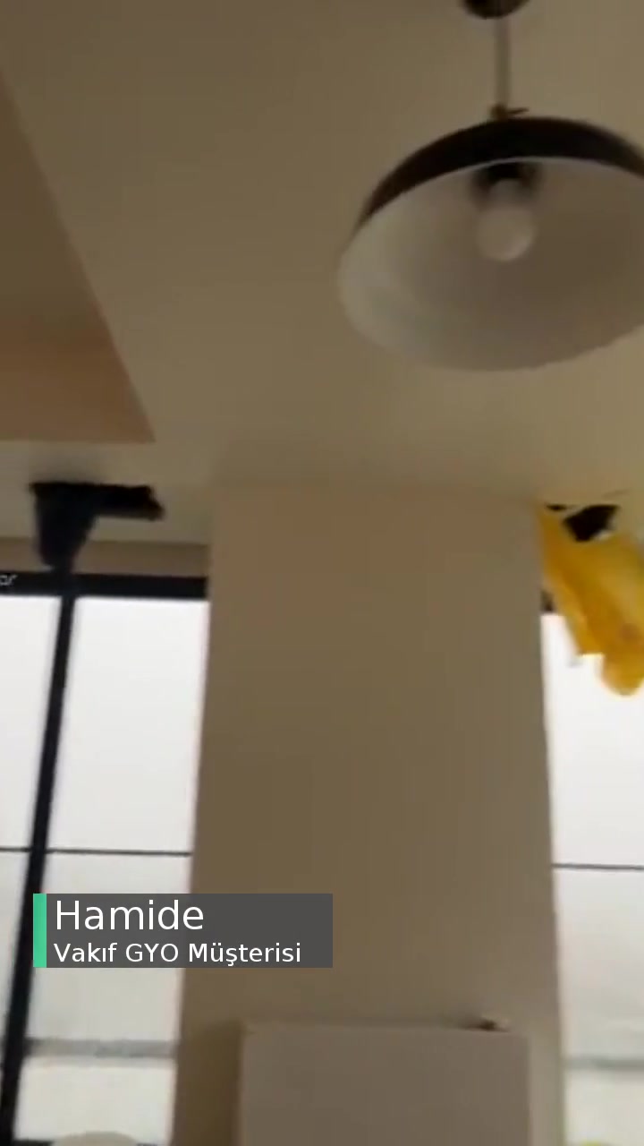Vakıf GYO Tablo Adalar Vasat Yönetim Süreci! videonun kapak resmi