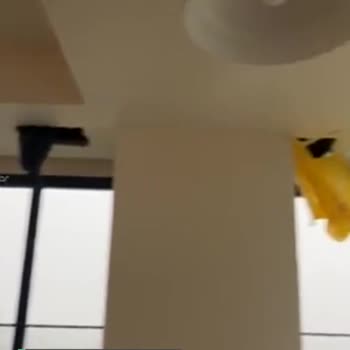 Vakıf GYO Tablo Adalar Vasat Yönetim Süreci!