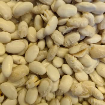 Saban Markalı Kuru Fasulyeler Islatıldığında Bozulmuş Ve Dağılmış